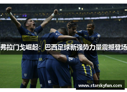 弗拉门戈崛起：巴西足球新强势力量震撼登场